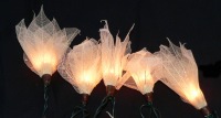 White Liladee wedding lights_sml.jpg